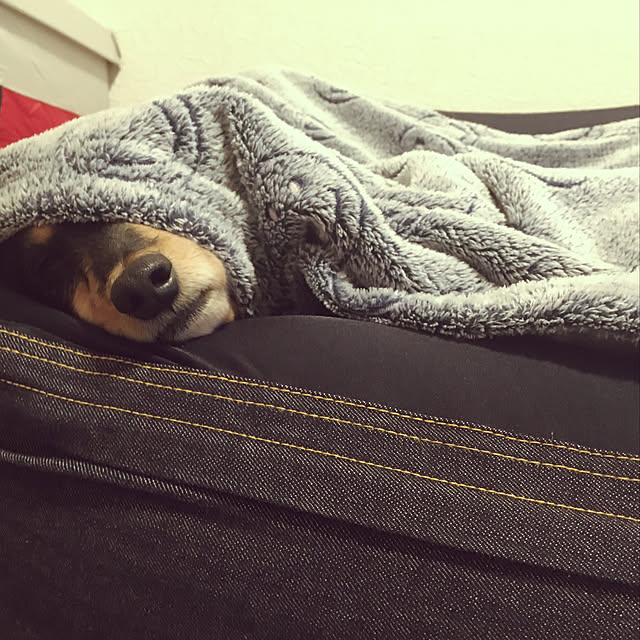 ohanaさんの実例写真