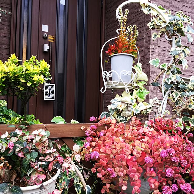 mukkuさんの実例写真