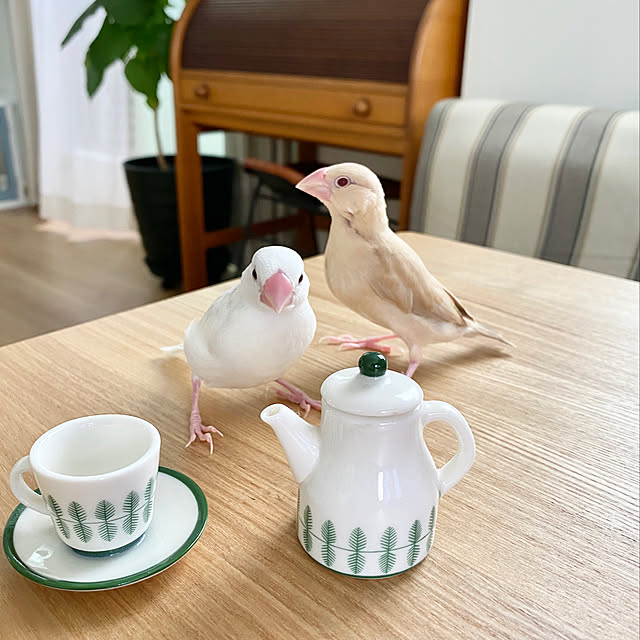 hananokaoriさんの実例写真