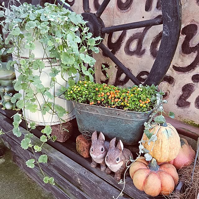 mocomocoさんの実例写真