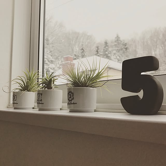mini5597214さんの実例写真