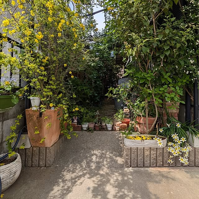 mori_6_12さんの実例写真