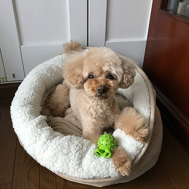 kazさんの実例写真