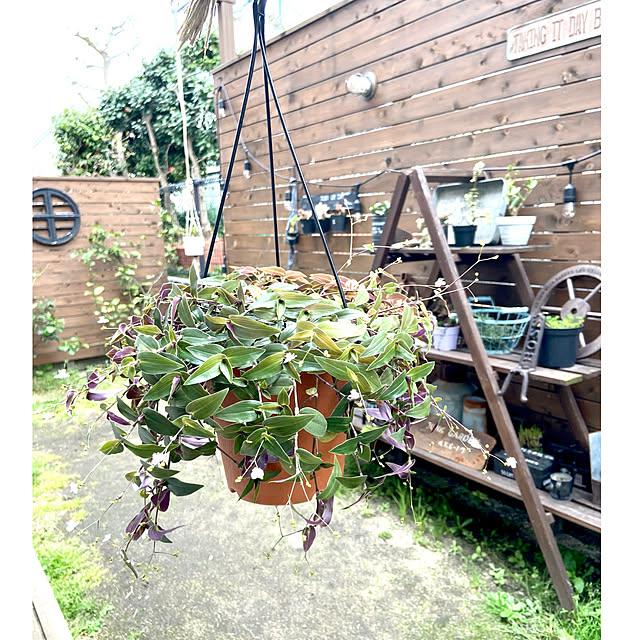 kobami_styleさんの実例写真