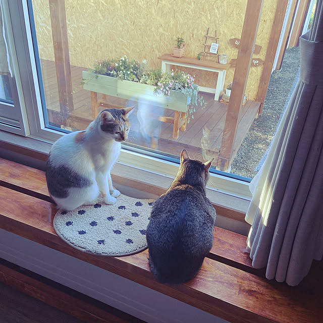 miwaさんの実例写真