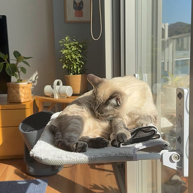 amさんの実例写真