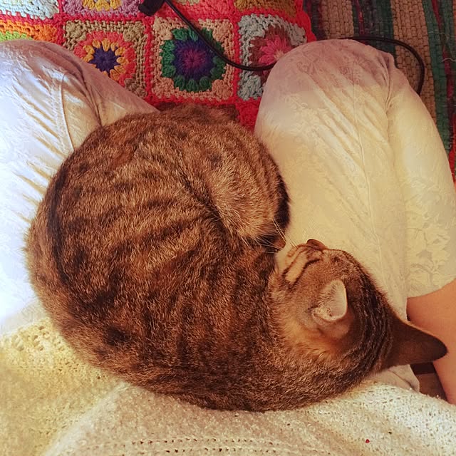 uraraさんの実例写真