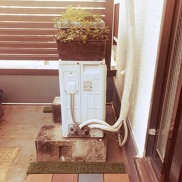 majoさんの実例写真