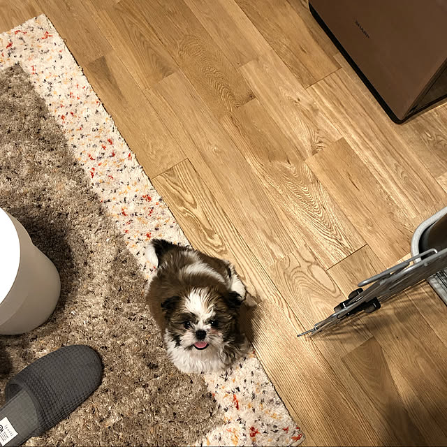 yumさんの実例写真