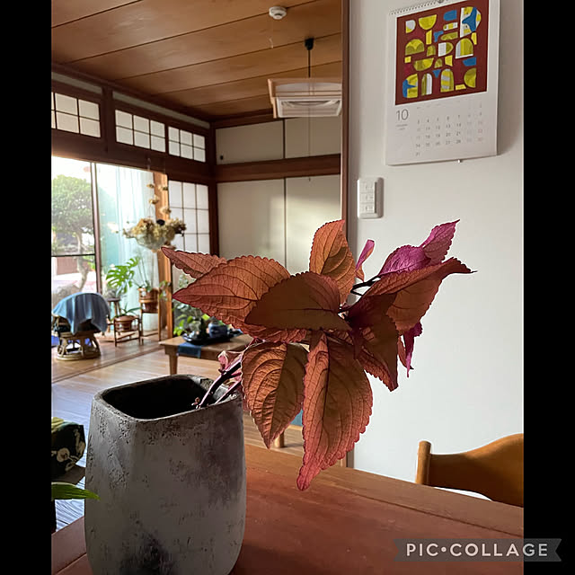buchiさんの実例写真