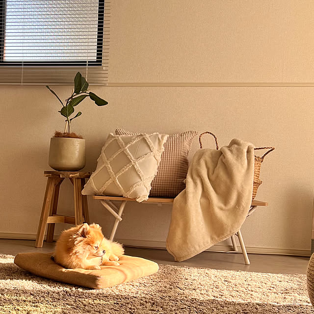 moff__0307さんの実例写真