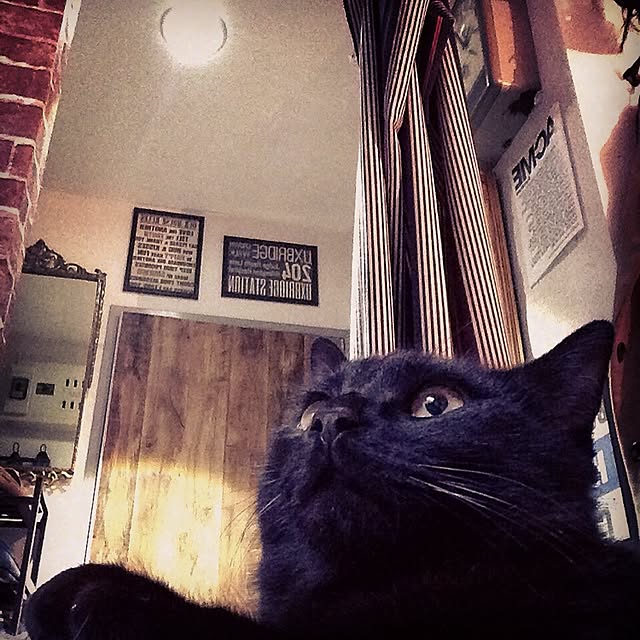 Naoki.さんの実例写真