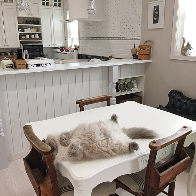 yuchiさんの実例写真