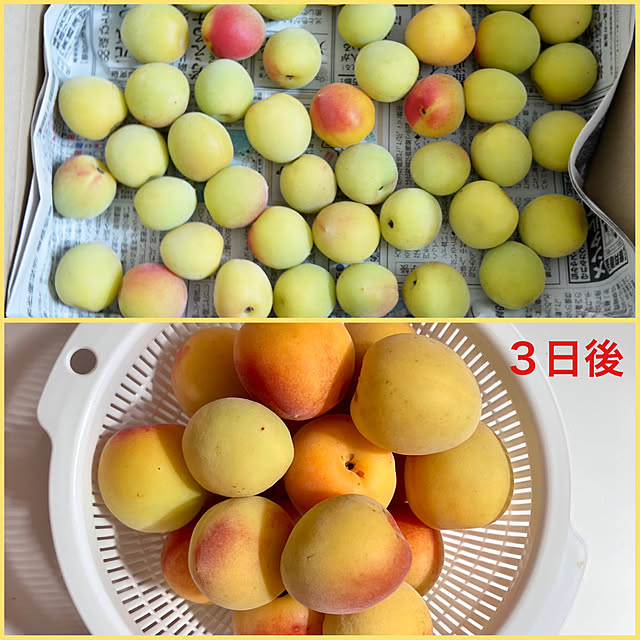 pinaminさんの部屋