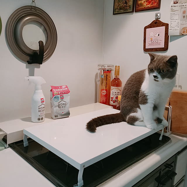 KEIKOさんの実例写真