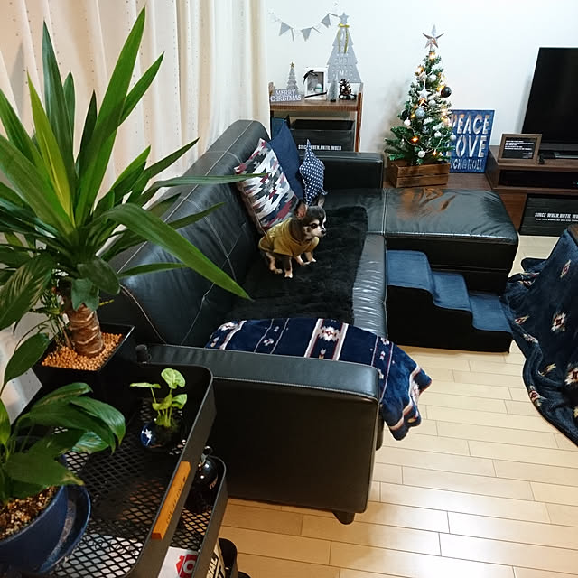 lovepeaceさんの実例写真