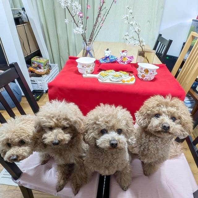 milk_hana_さんの実例写真