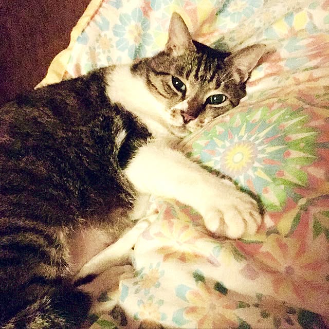 brbrnknkさんの実例写真