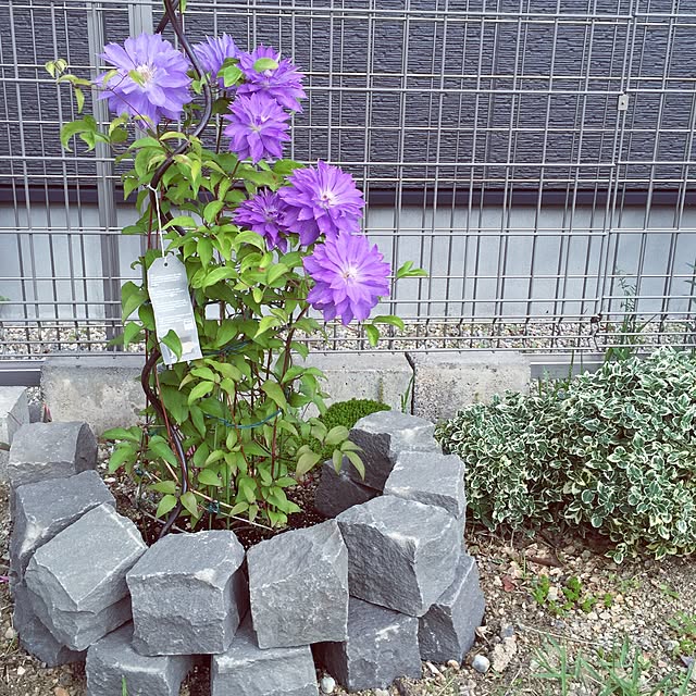 chiekoさんの実例写真