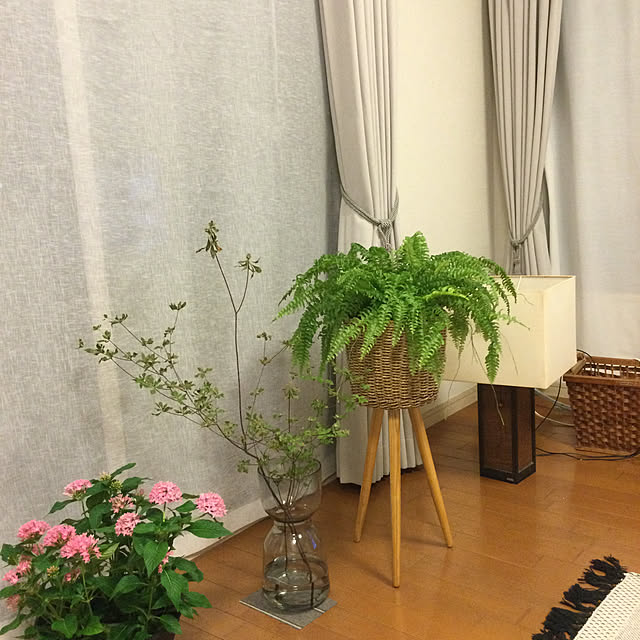 greenpancerさんの実例写真