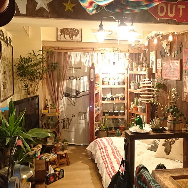 部屋全体/サボテンクラブ☺︎/NO GREEN NO LIFEのインテリア実例 - 2017-01-04 03:02:56