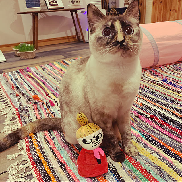 miyaさんの実例写真