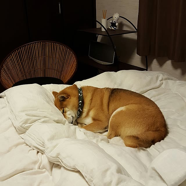 konatuさんの実例写真