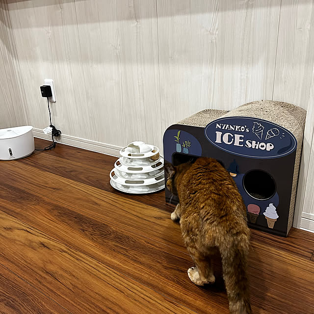 mikeume7さんの部屋
