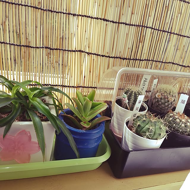 katさんの実例写真