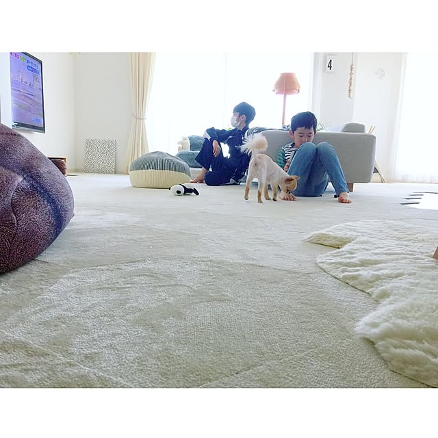haruhinaさんの実例写真