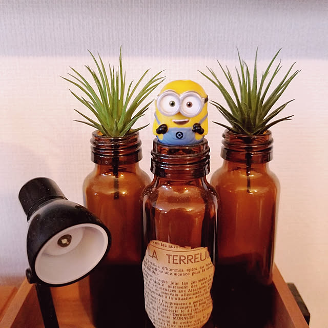 Mikaさんの実例写真