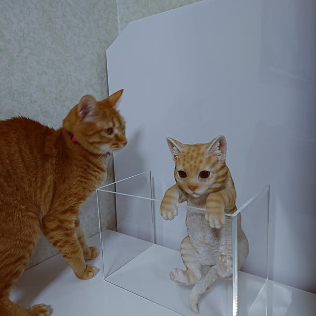 Kさんの実例写真