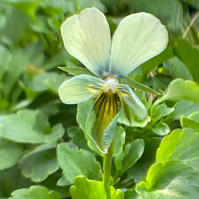 buchiさんの部屋