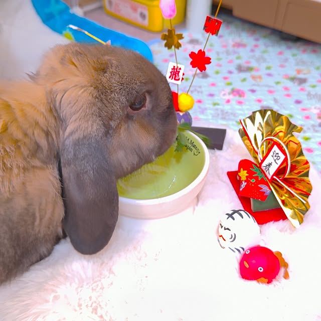 mariaさんの部屋