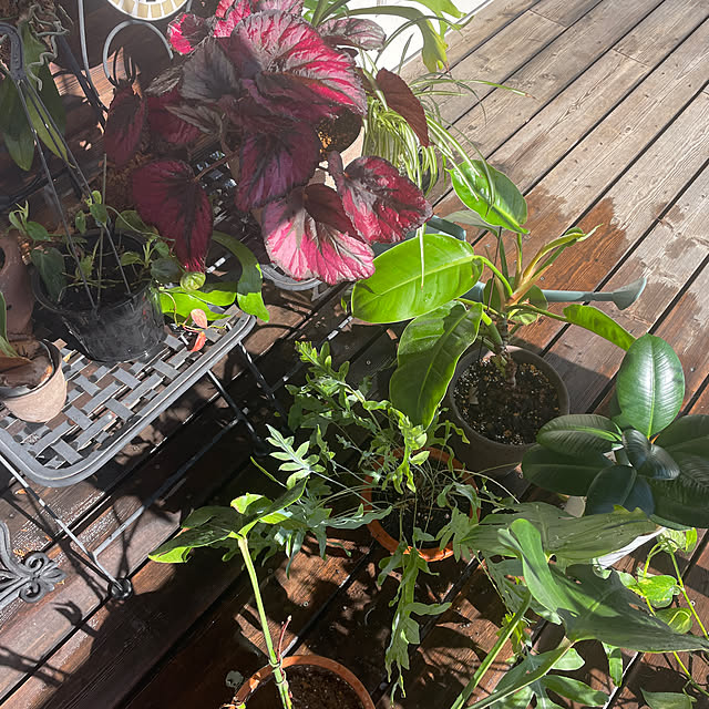 nattunさんの実例写真