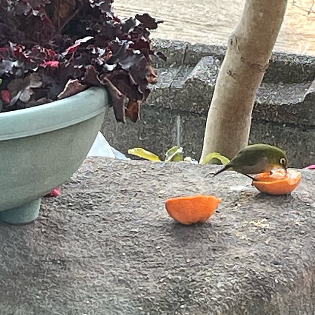 buchiさんの部屋