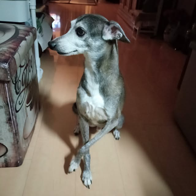 moruさんの部屋