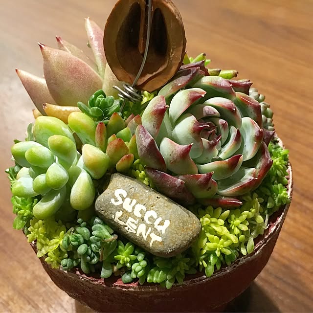 bon-bon-hippieさんの実例写真