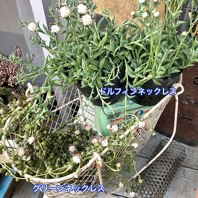 bibianさんの実例写真
