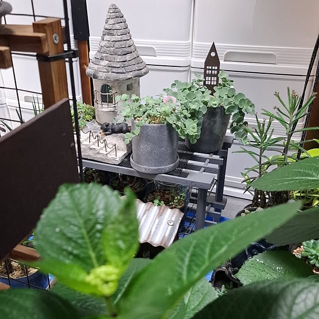 noaさんの部屋