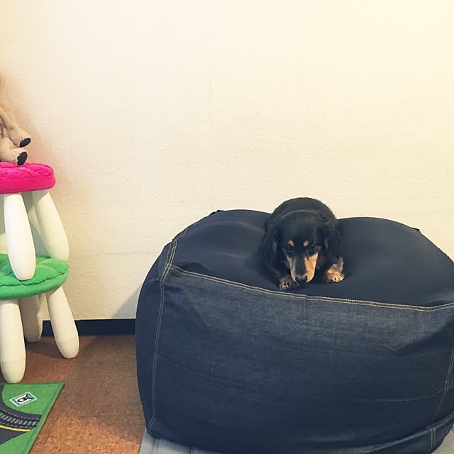 ohanaさんの実例写真