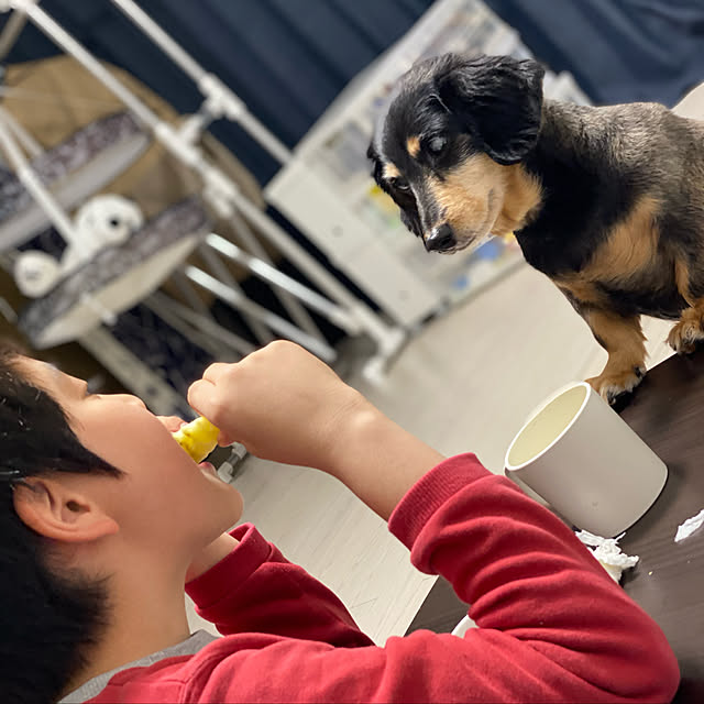 ohanaさんの実例写真