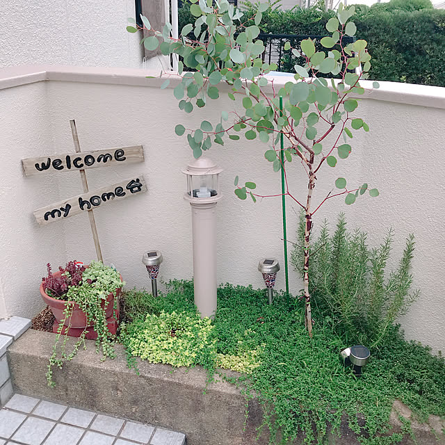 2boyMAMAさんの実例写真