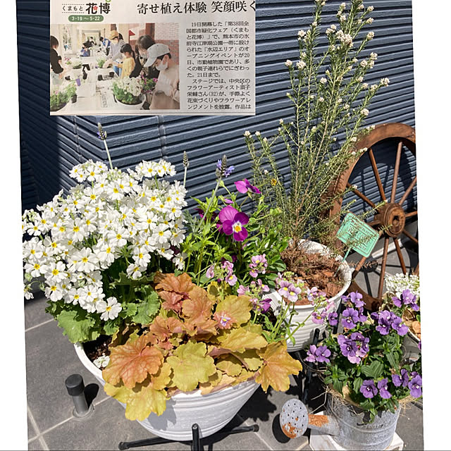 ha_ru76さんの実例写真