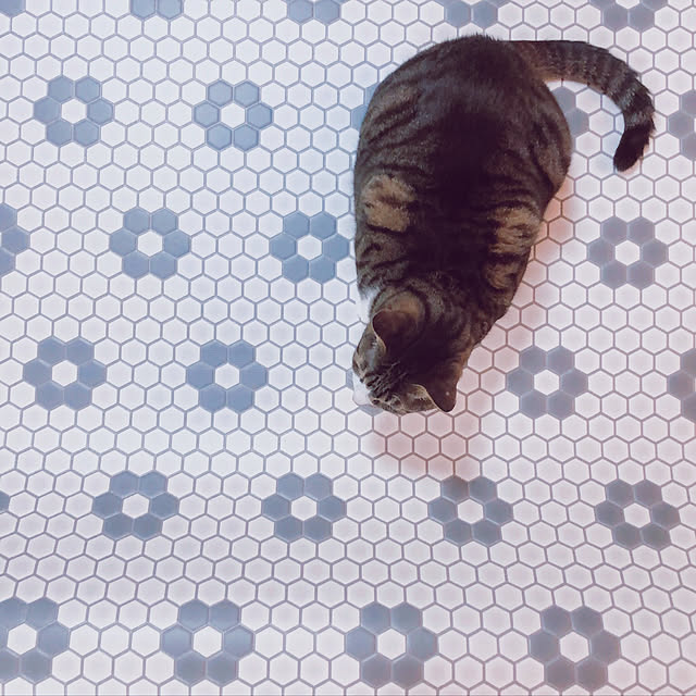 milkcocoaさんの実例写真