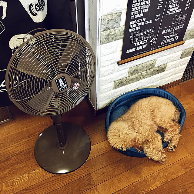 ronmaruさんの実例写真