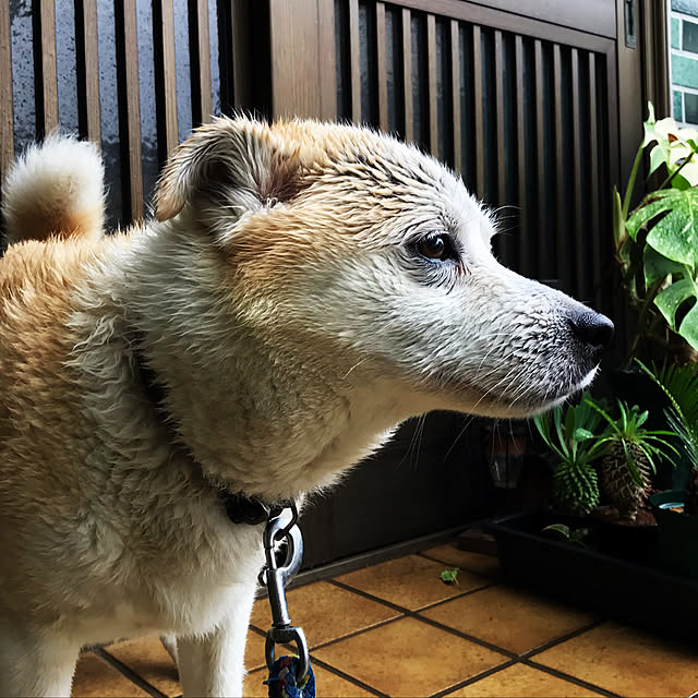 masu...さんの実例写真