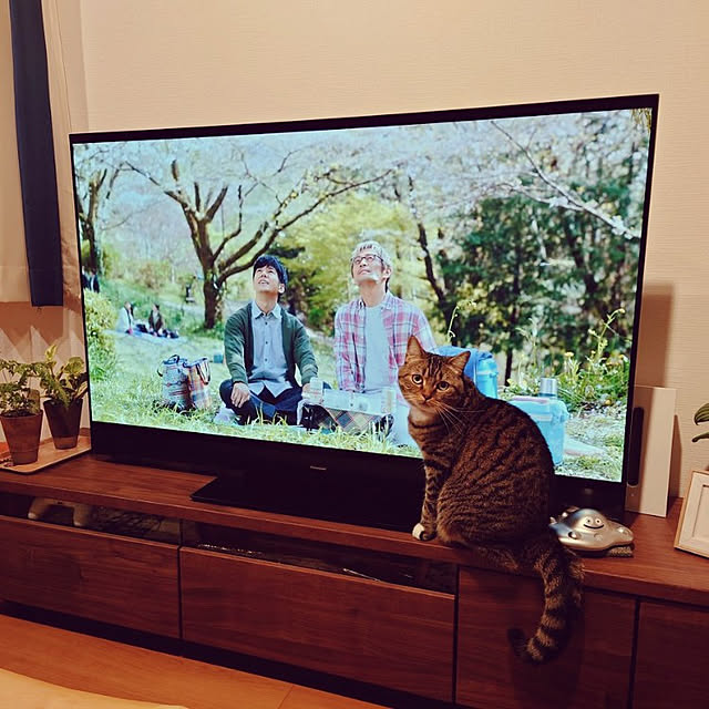 mochicoさんの実例写真