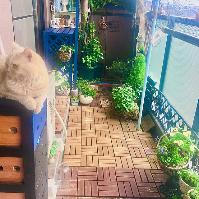 naokoさんの部屋
