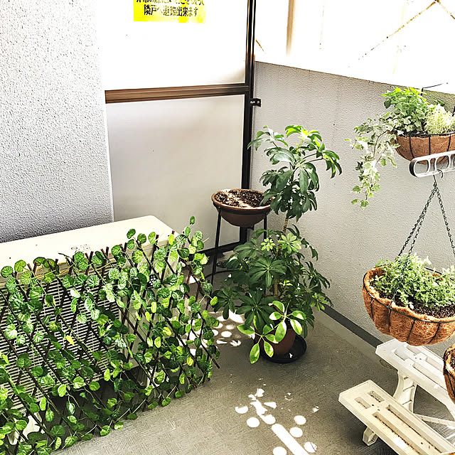 yuko25さんの実例写真